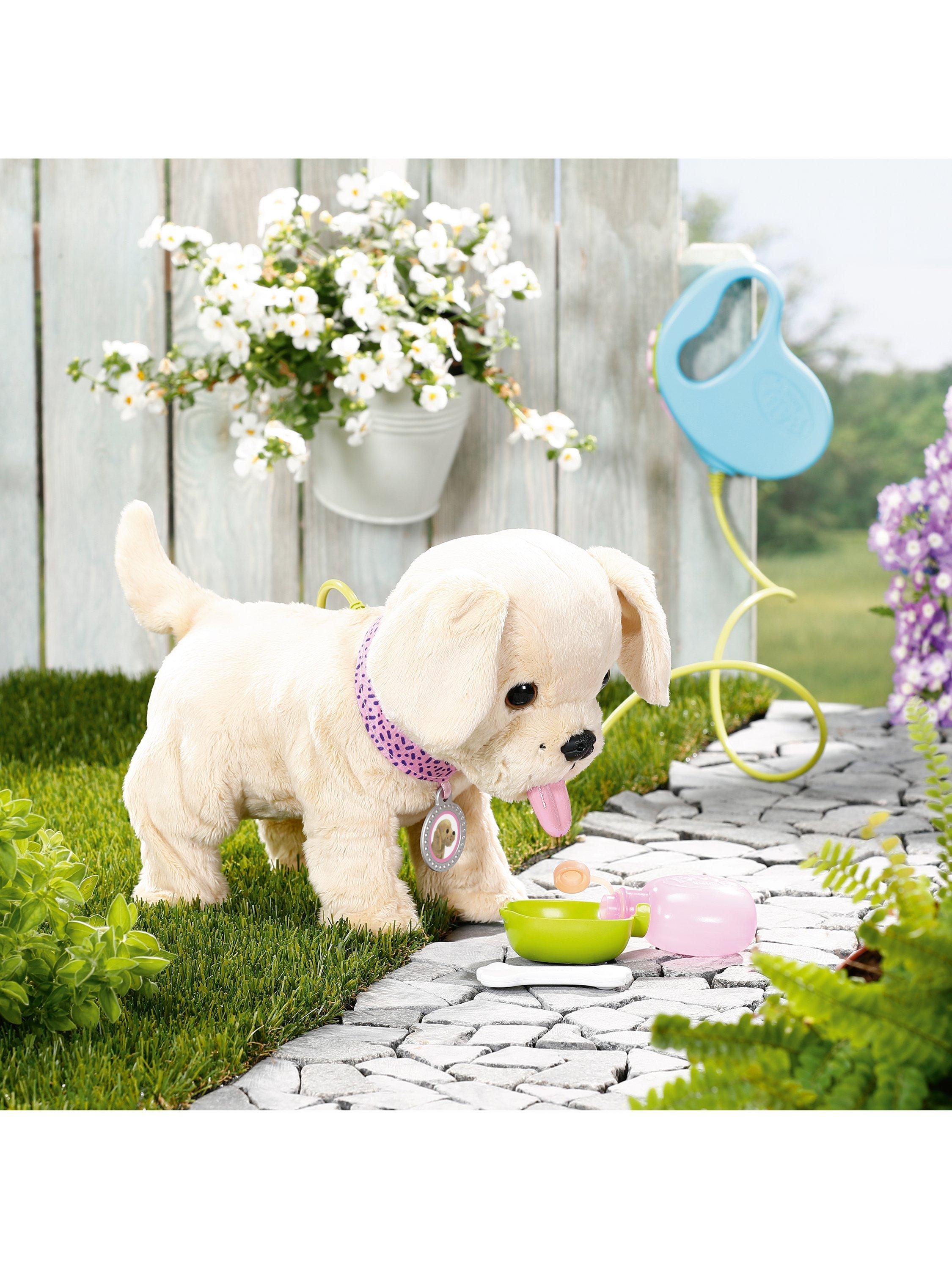 Baby Born Lucky Doll interactive toy dog - British product