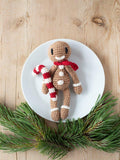 TOFT beginner gingerbread man crochet kit (British brand)