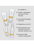 Philip Kingsley Body Building Discovery Collection haircare gift set, UK version