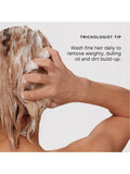 Philip Kingsley Body Building Discovery Collection haircare gift set, UK version