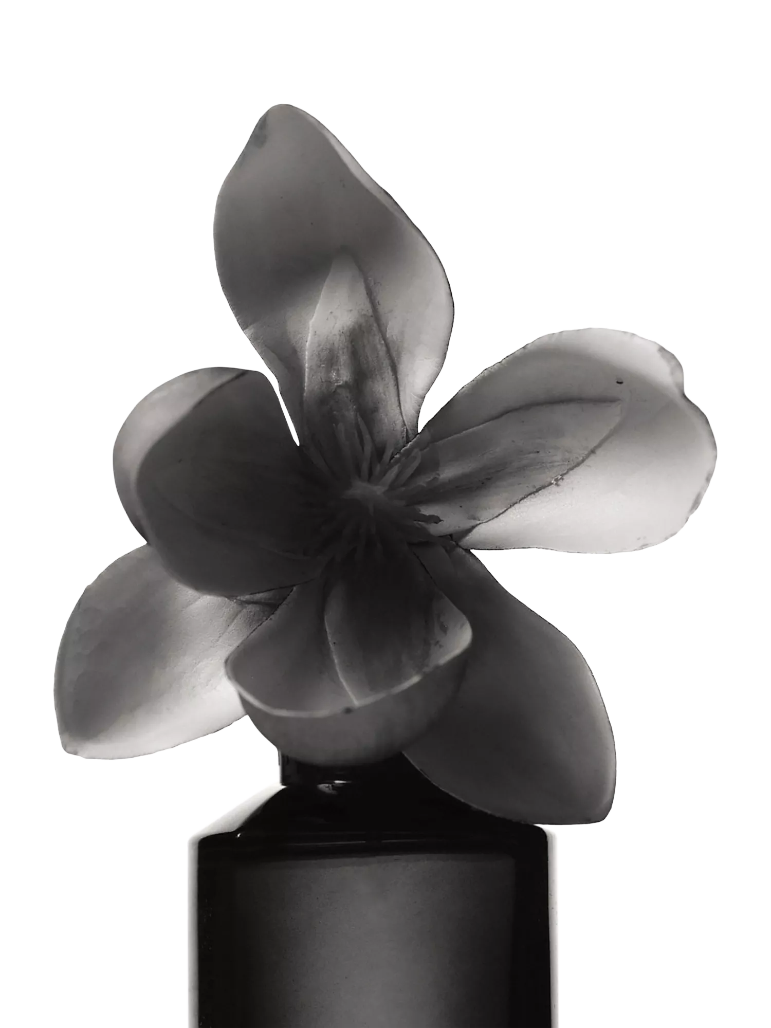 Fenty Beauty Eau de Parfum warm floral scent - British product