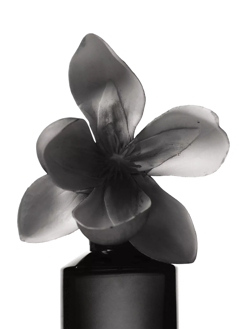 Fenty Beauty Eau de Parfum warm floral scent - British product