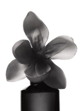 Fenty Beauty Eau de Parfum warm floral scent - British product