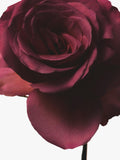 Fenty Beauty Eau de Parfum warm floral scent - British product