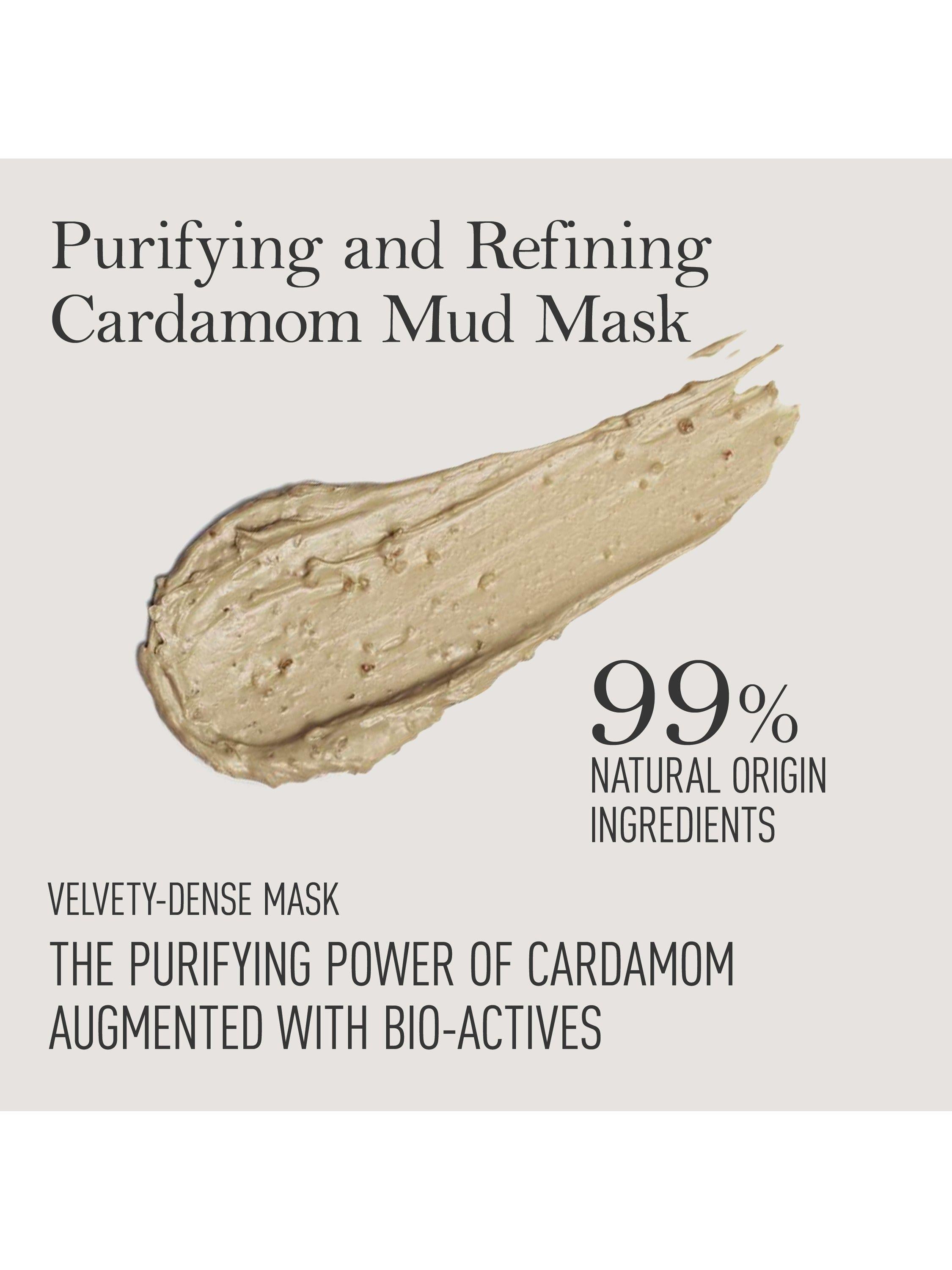 Kama Ayurveda Vanasara Cardamom Purifying Mud Mask, 50ml