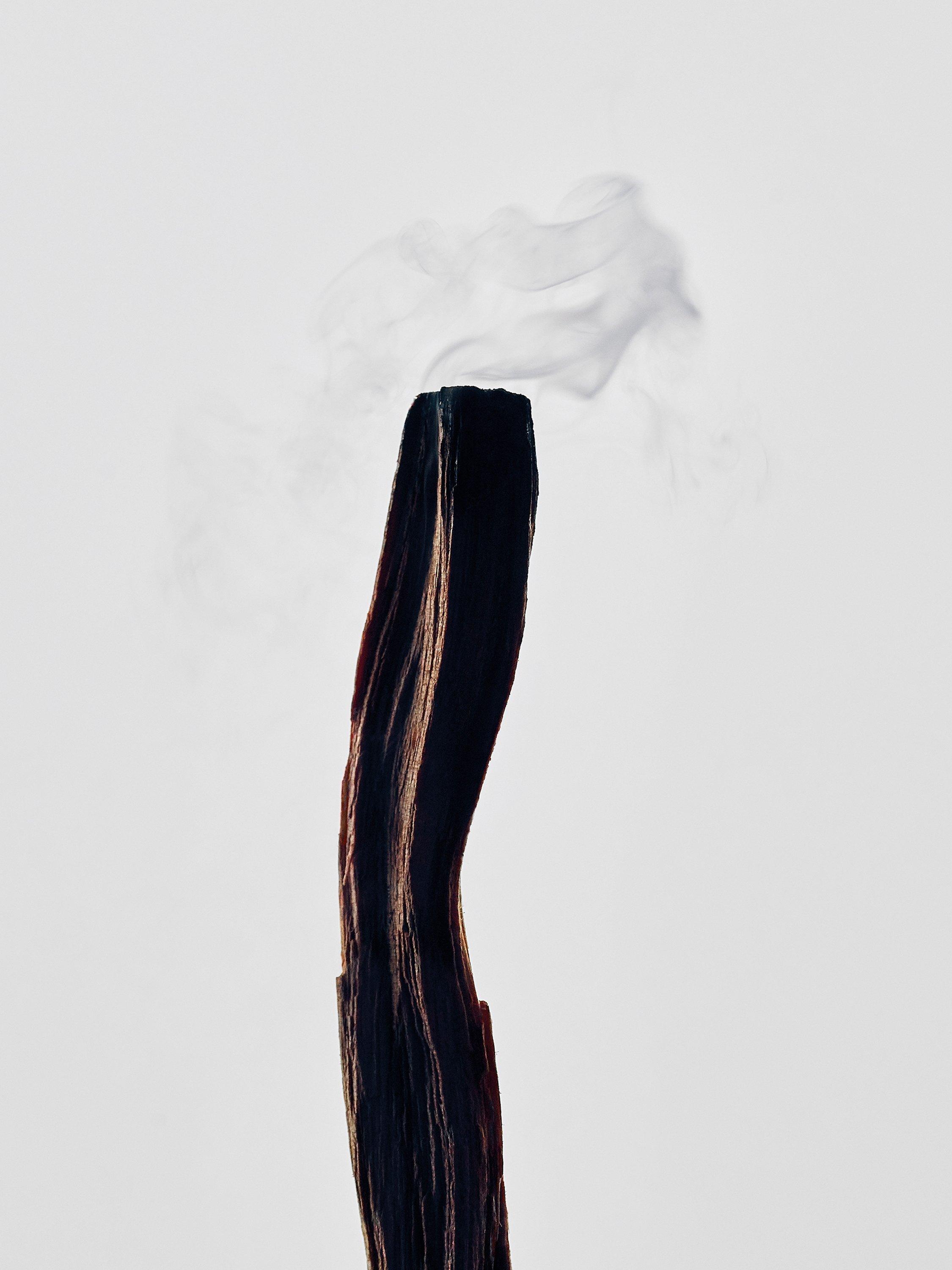 LOEWE Palo Santo scented candle 170g, imported from the UK