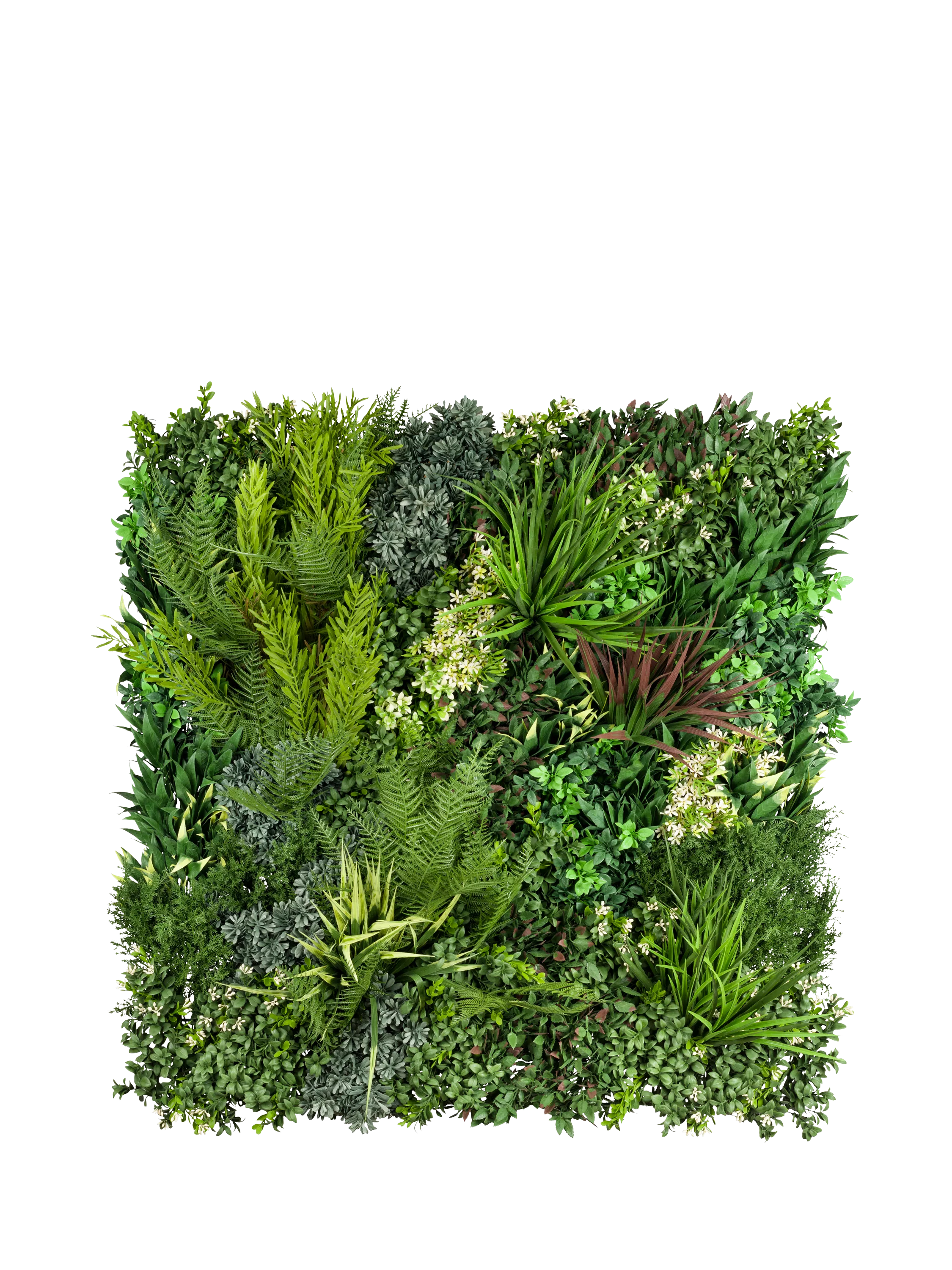 Vistafolia Signature Square artificial wall panel 80cm green - British product