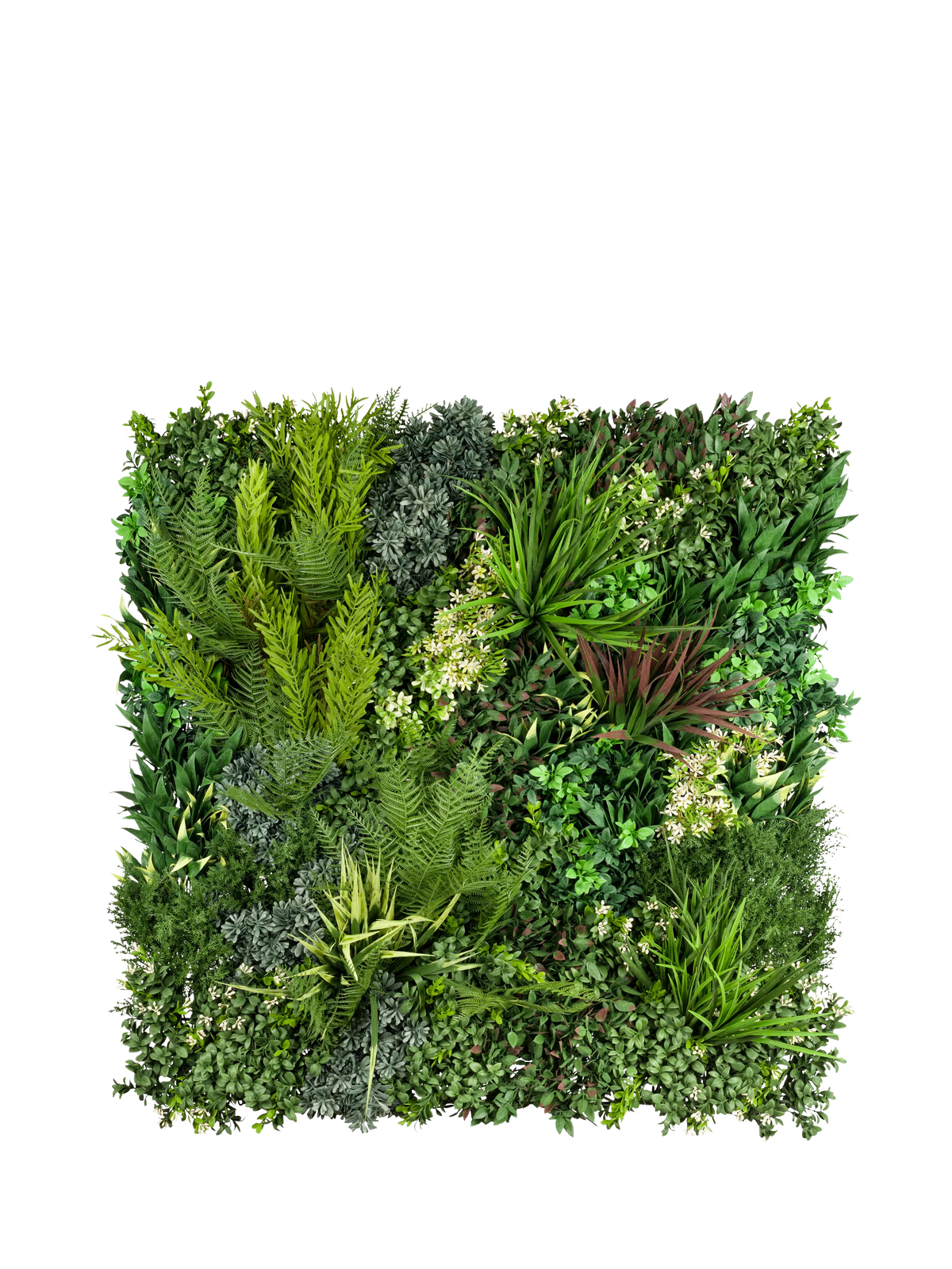 Vistafolia Signature Square artificial wall panel 80cm green - British product