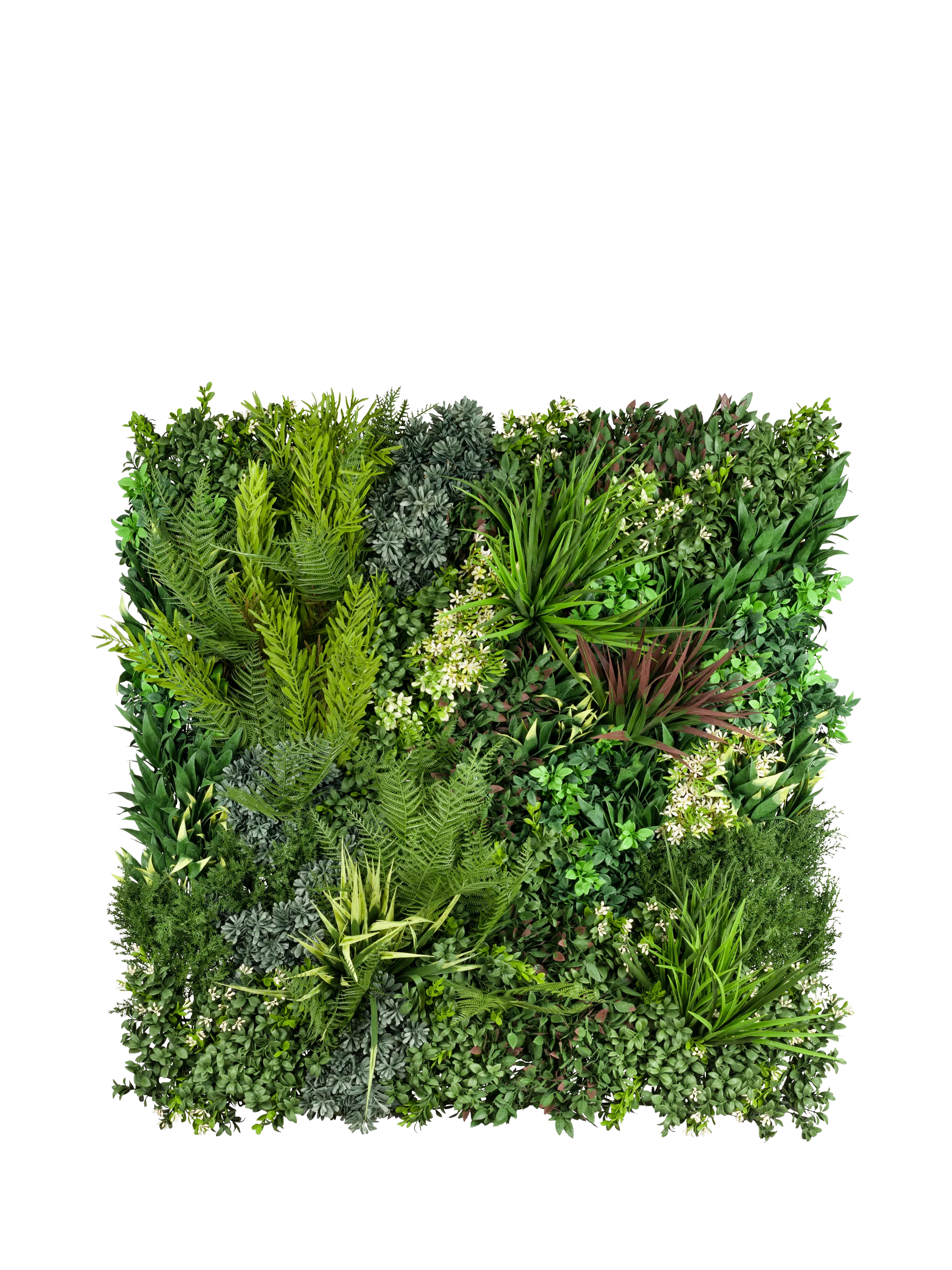 Vistafolia Signature Square artificial wall panel 80cm green - British product