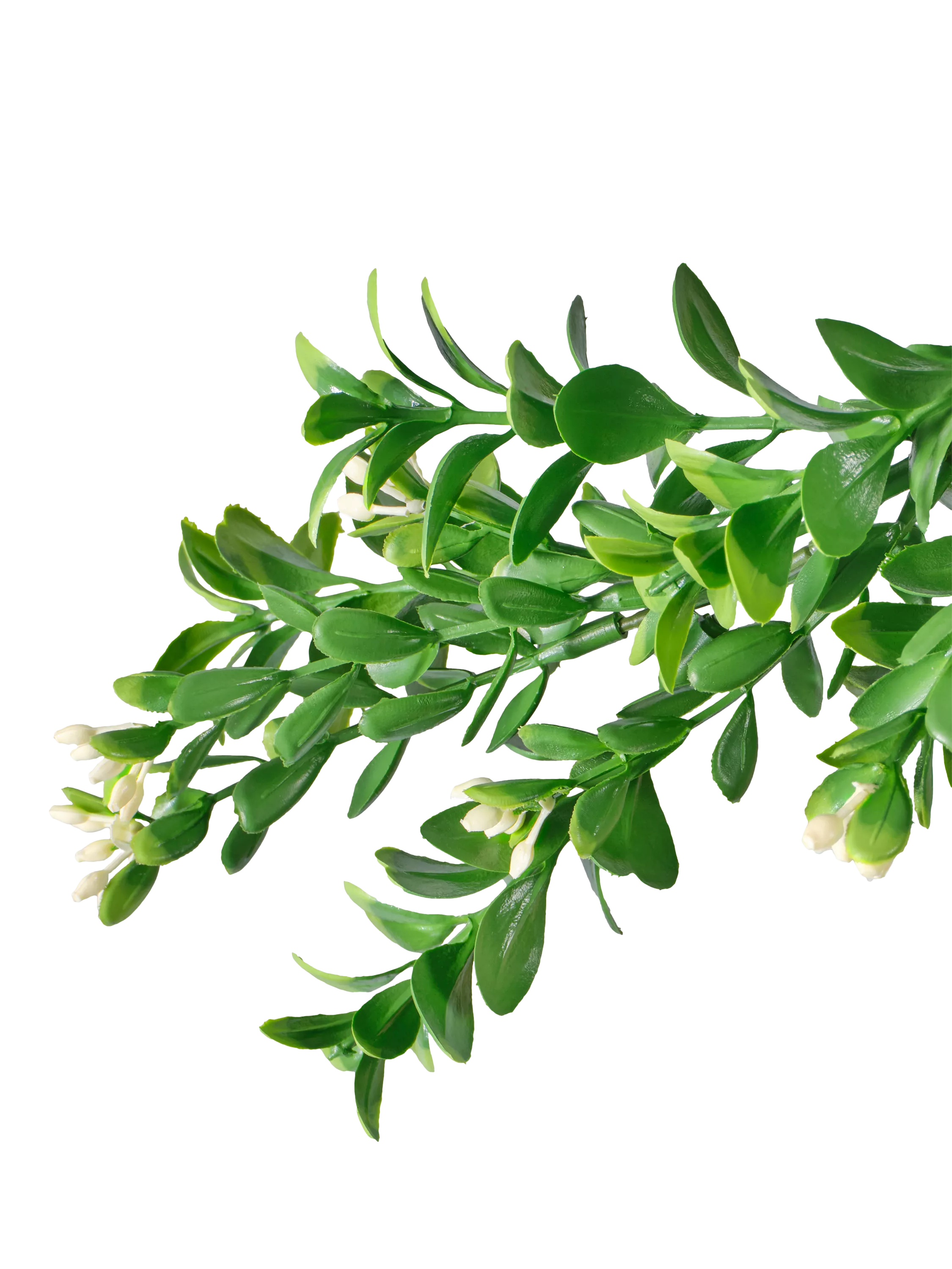 Vistafolia artificial Buxus trailer 2m - British product