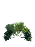 Vistafolia artificial colour box with wild yews and boxwood, UK version