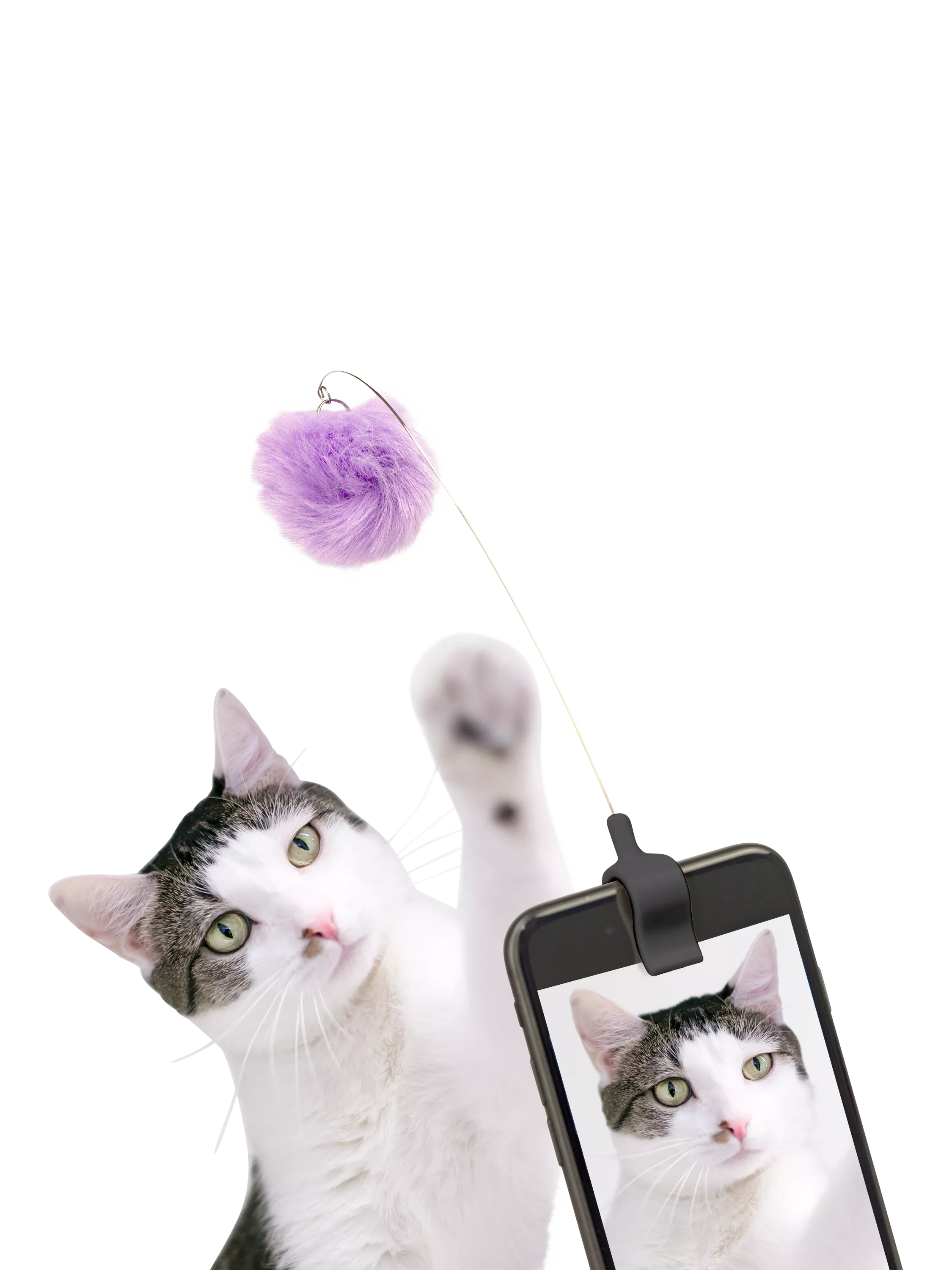 Kikkerland Kitty Phone Clip for cats - British product