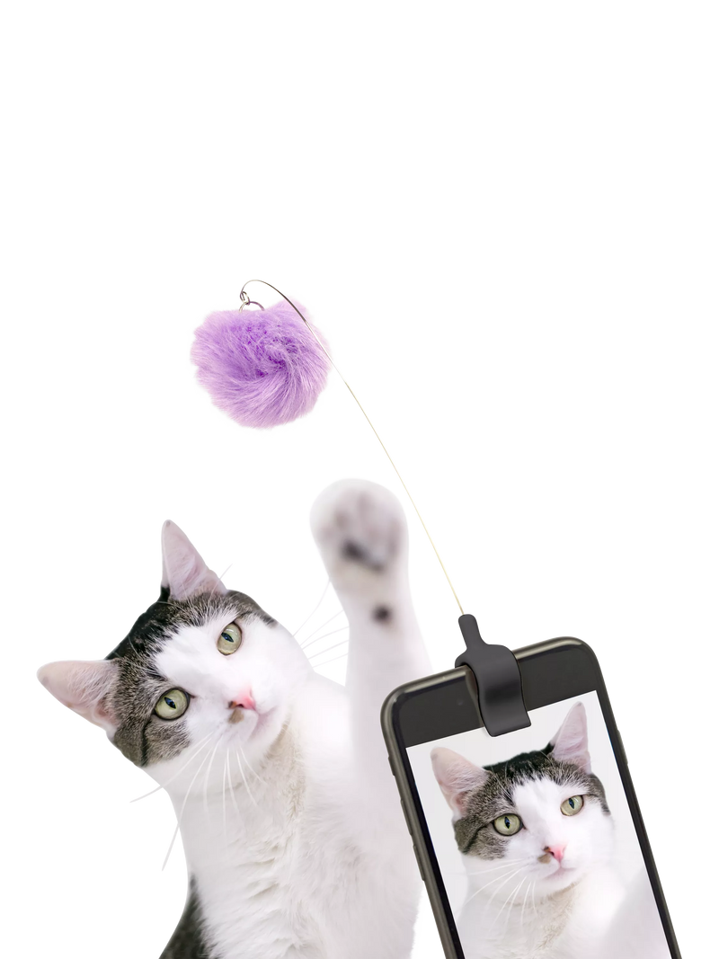 Kikkerland Kitty Phone Clip for cats - British product