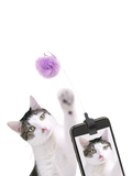 Kikkerland Kitty Phone Clip for cats - British product