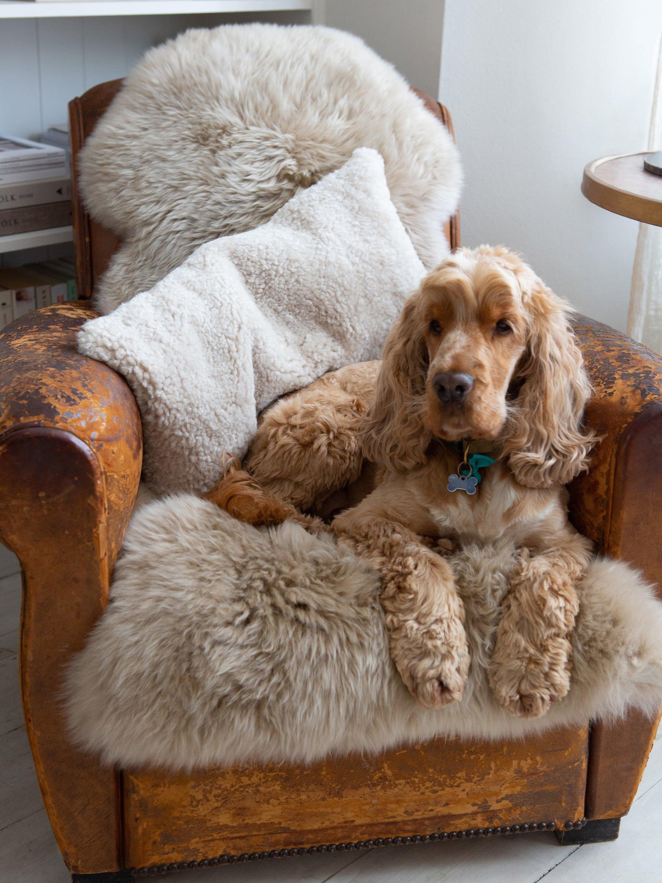 The Small Home natural sheepskin rug 60x95cm, UK version