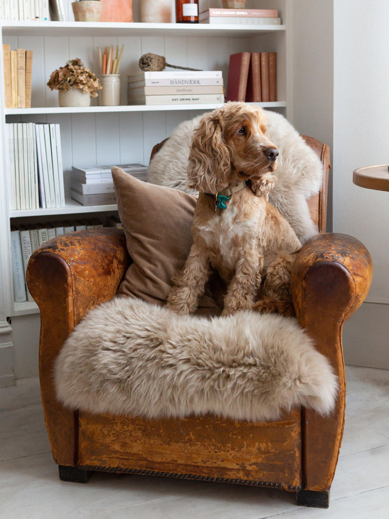 The Small Home natural sheepskin rug 60x95cm, UK version