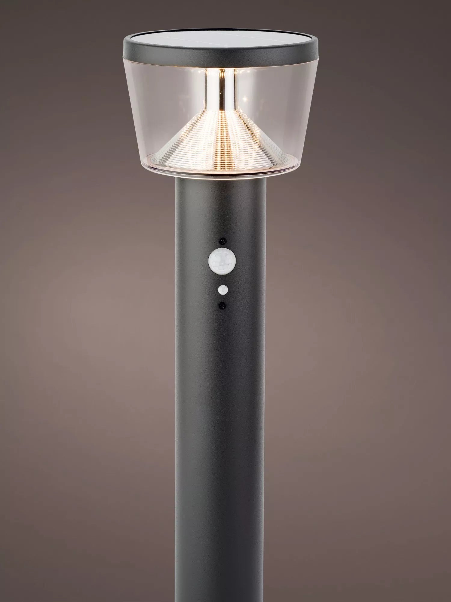 Kaemingk Solar Powered Outdoor Stake Light, Black