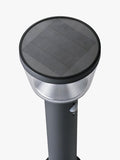 Kaemingk solar stake light black (British brand)