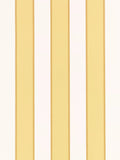 Romo Orsin Wallpaper 10.05m x 52cm