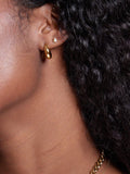 Orelia LUXE tapered dome hoop earrings pale gold, imported from the UK