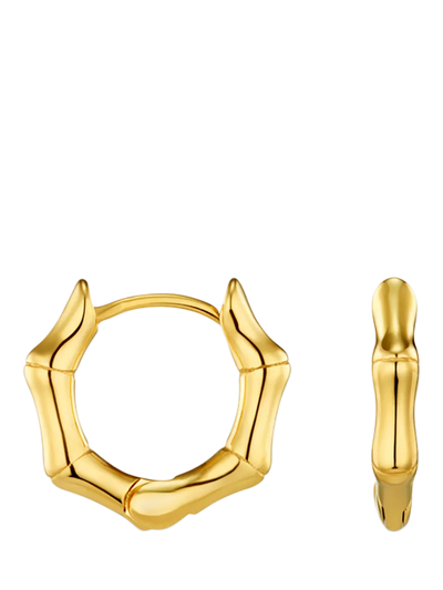 John Lewis Orelia LUXE Polished Bamboo Huggie Hoop Earrings, Pale Gold- Buy online at McGrocer