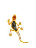 Be-Jewelled amber lizard brooch with cubic zirconia - British product