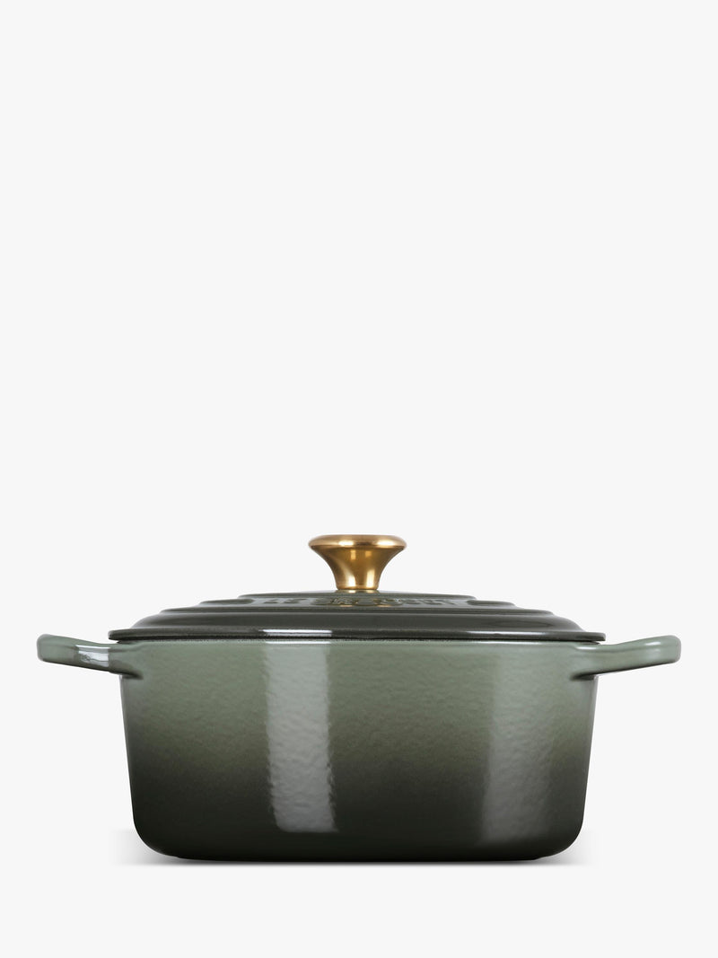 Le Creuset cast iron round casserole 22cm, UK version