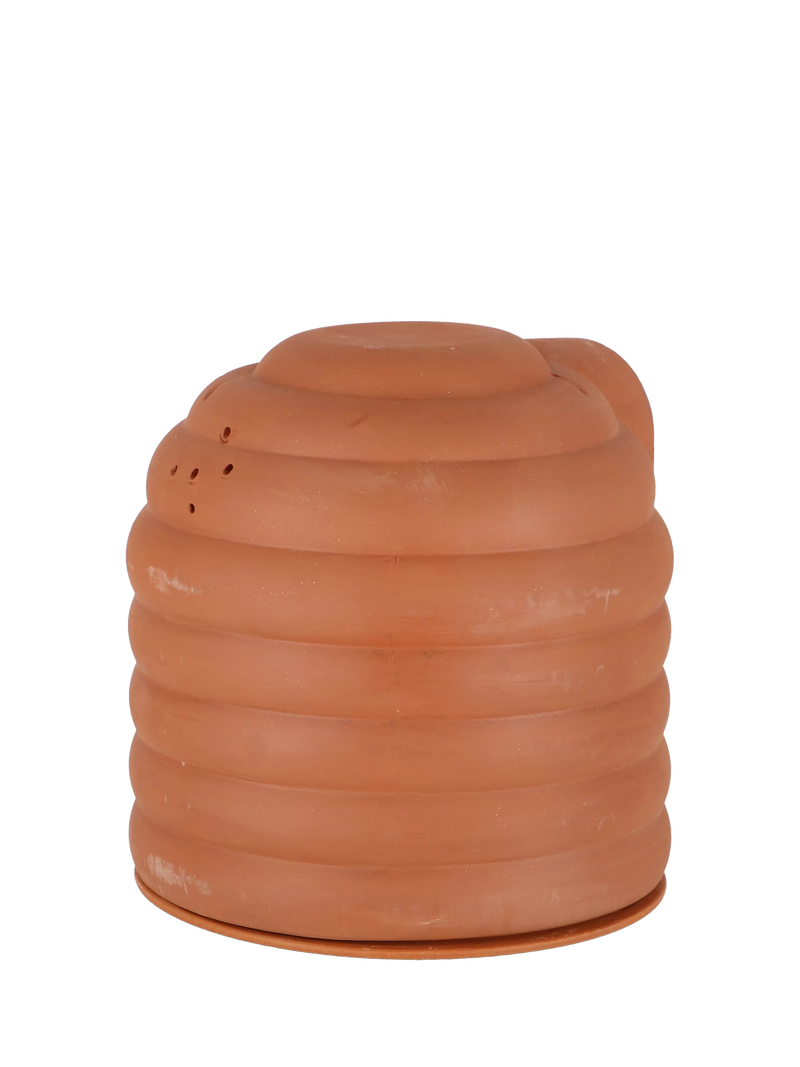 Fallen Fruits terracotta bumblebee pot (British brand)