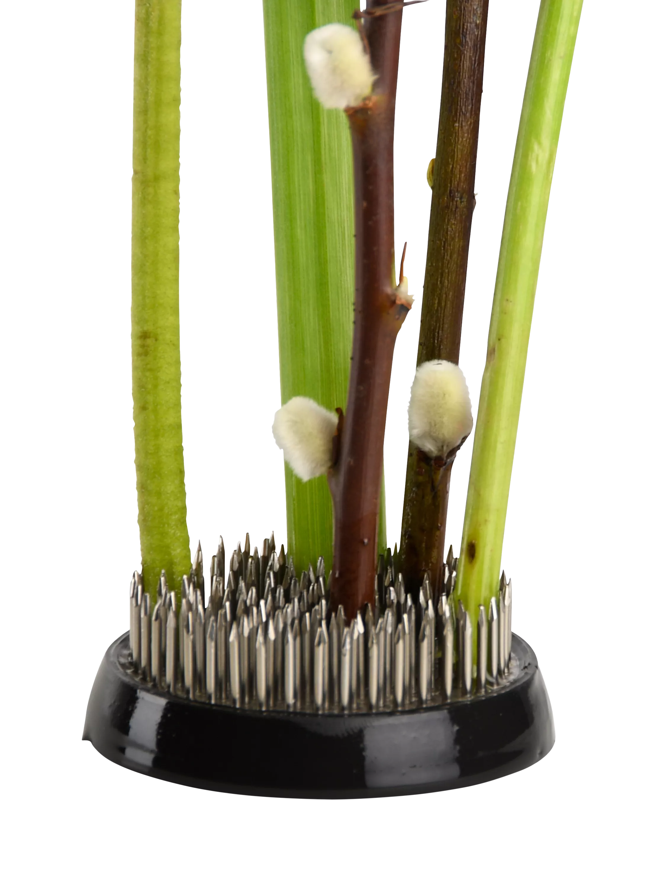 Fallen Fruits large flower arranging kenzan (British brand)