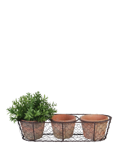 John Lewis Fallen Fruits 3 Terracotta Plant Pots in a Wire Basket Planter Set- Buy online at McGrocer