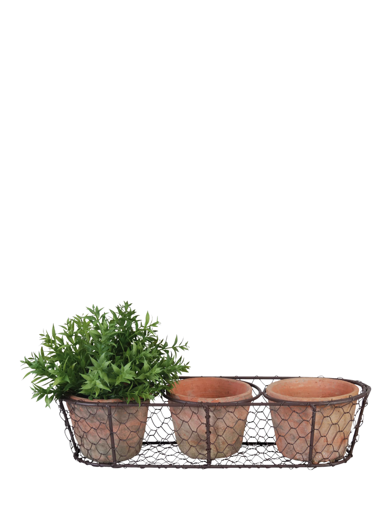 Fallen Fruits terracotta plant pots in wire basket, UK version