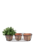 Fallen Fruits terracotta plant pots in wire basket, UK version