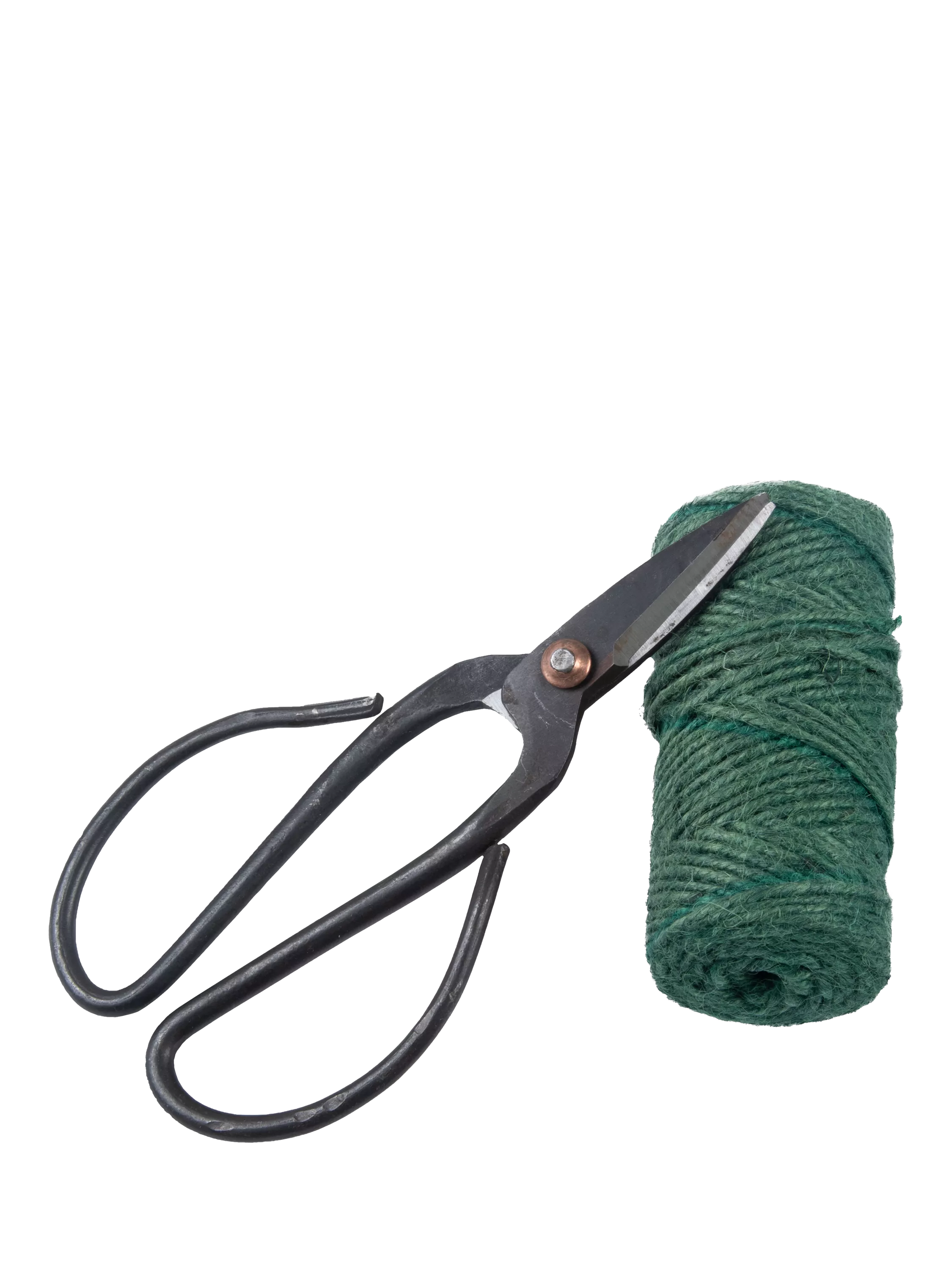 Fallen Fruit Rope & Scissors Garden Plant Tie Set