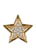 Eclectica star stick pin gold plate clear crystals (British brand)