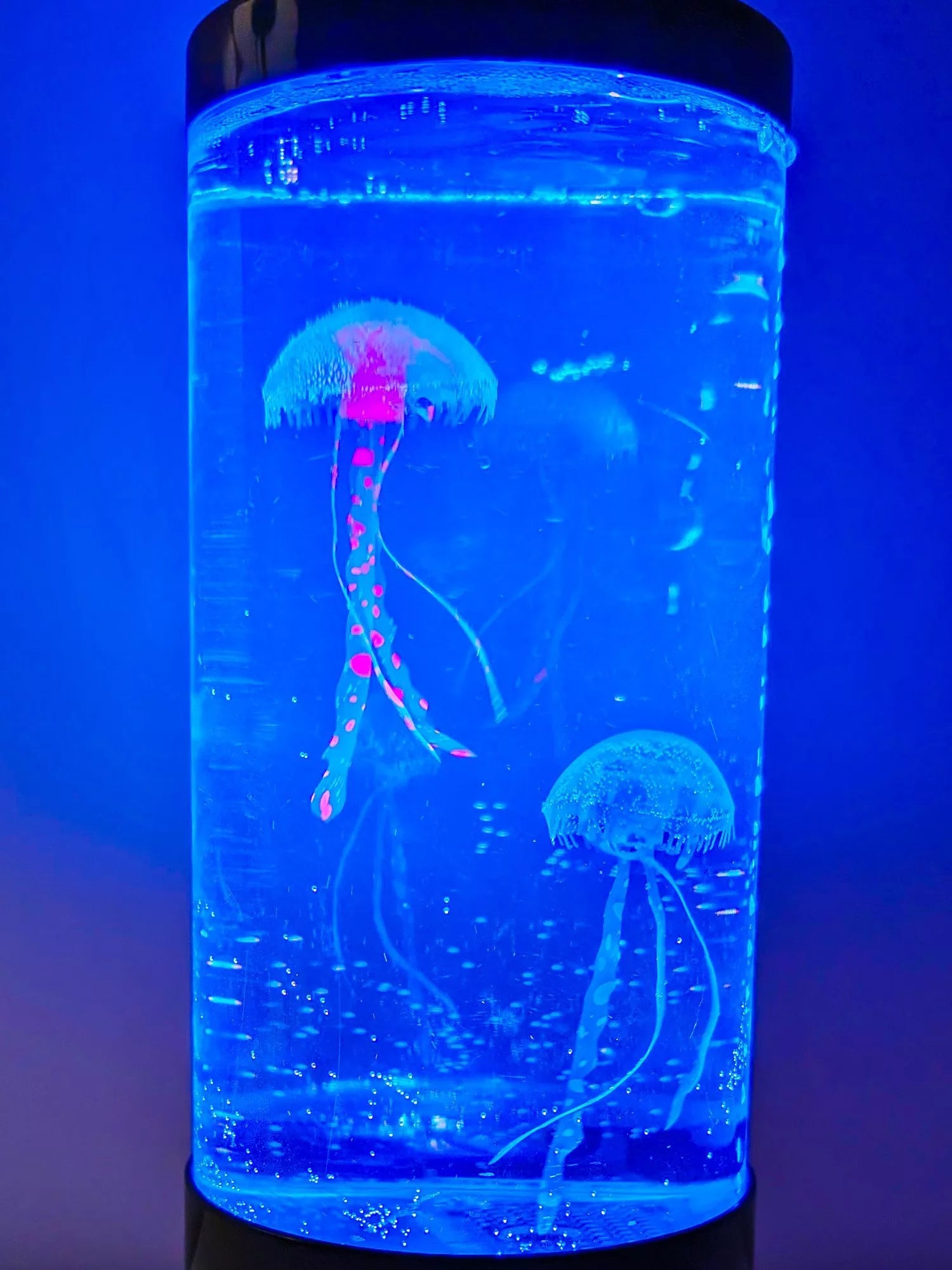 Tinc Jellyfish Lamp Multi with floating jellyfish, UK version