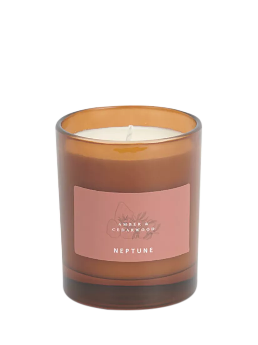 Neptune Amber & Cedarwood Scented Candle, 560g