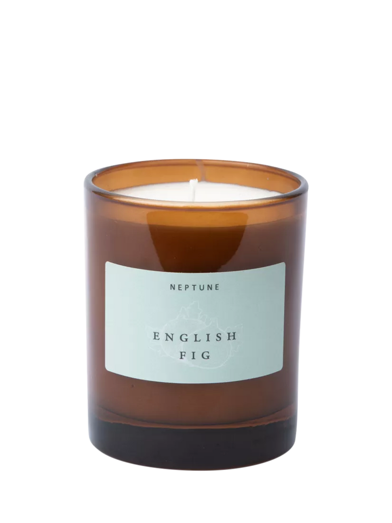 Neptune English Fig scented candle 560g - British product