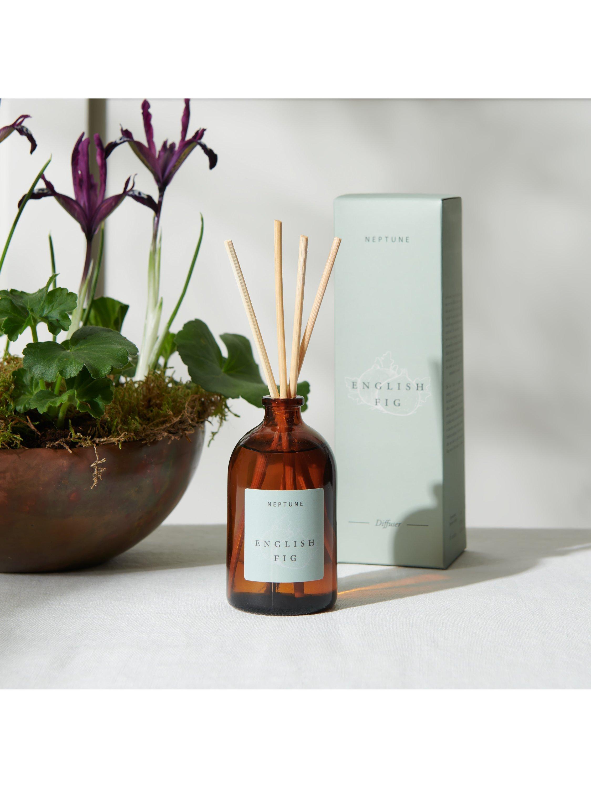 Neptune English Fig reed diffuser 200ml (British brand)