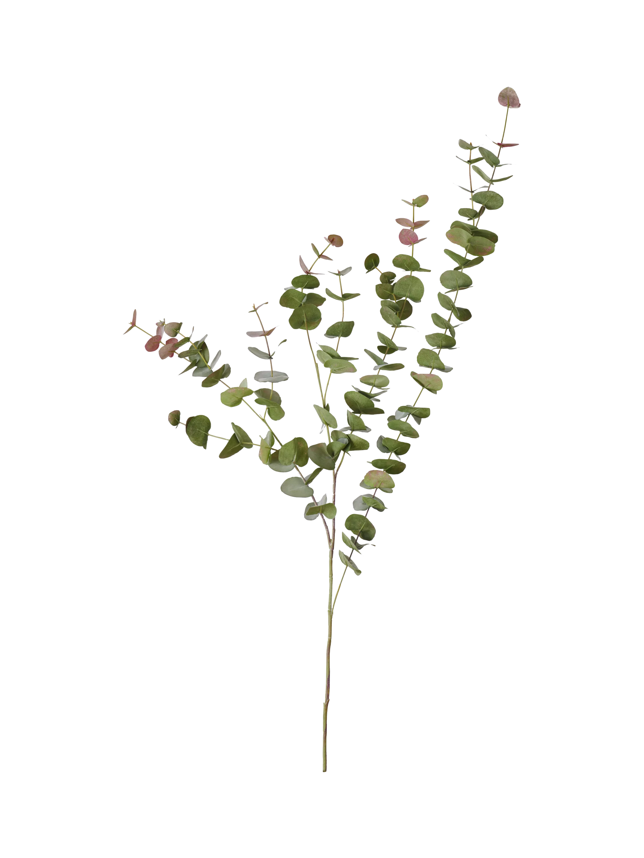 Neptune artificial eucalyptus spray green russet 119cm - British product