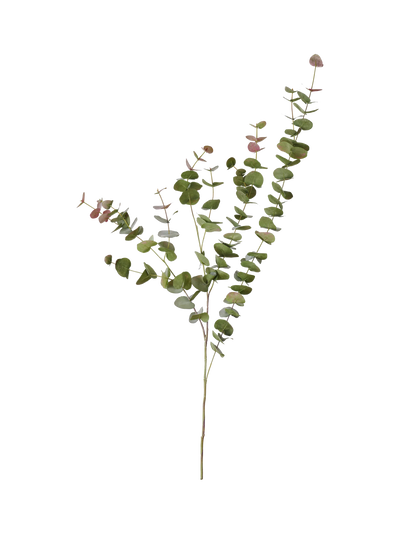 John Lewis Neptune Artificial Eucalyptus Red Box Spray Green/Russet 119cm- Buy online at McGrocer