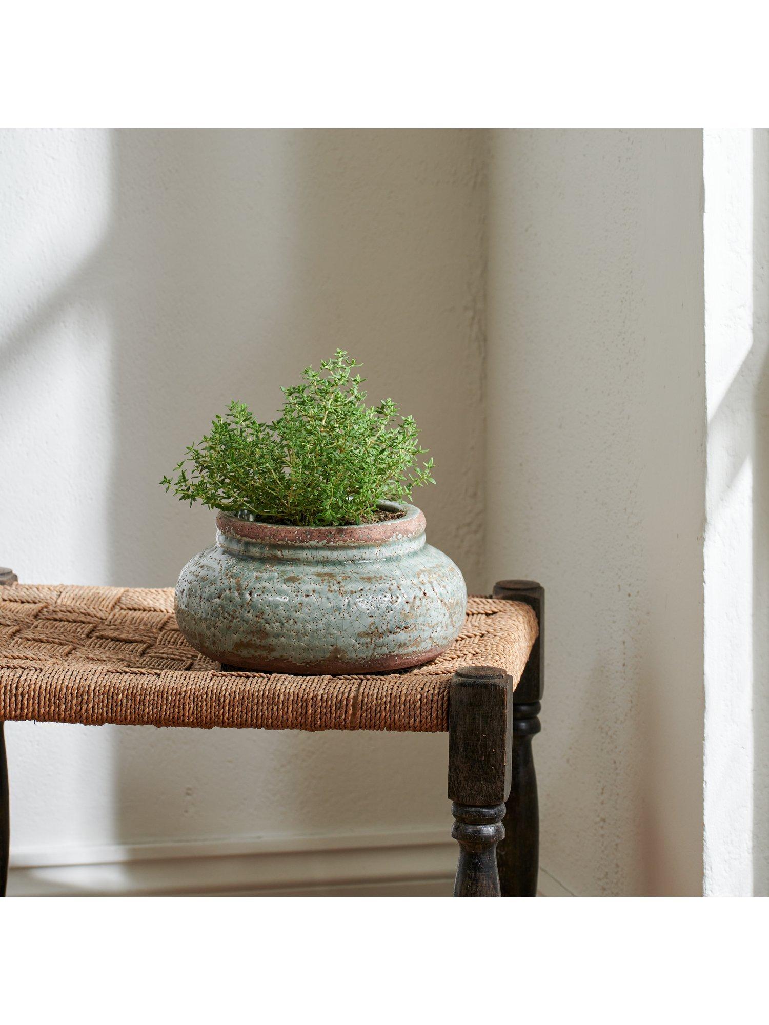 Neptune Broseley low plant pot 21.5cm (British brand)