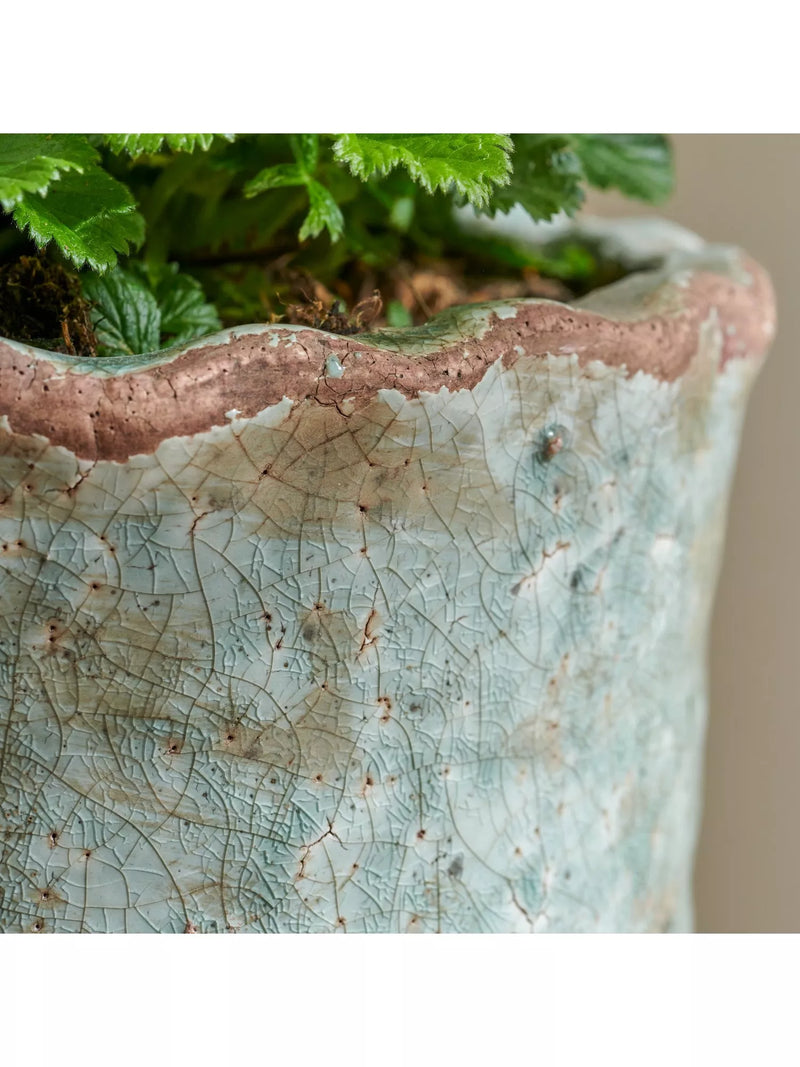 Neptune plant pot moss 18cm (British brand)