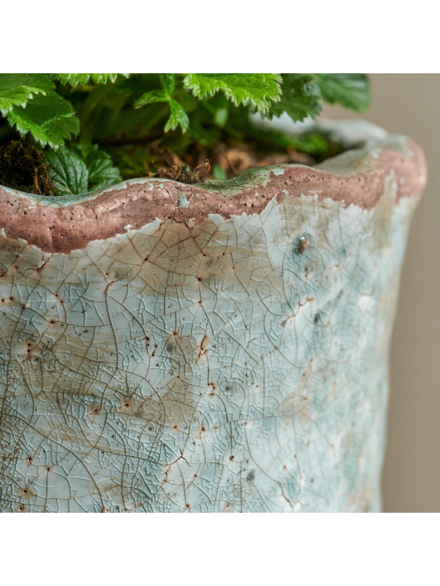 Neptune plant pot moss 18cm (British brand)