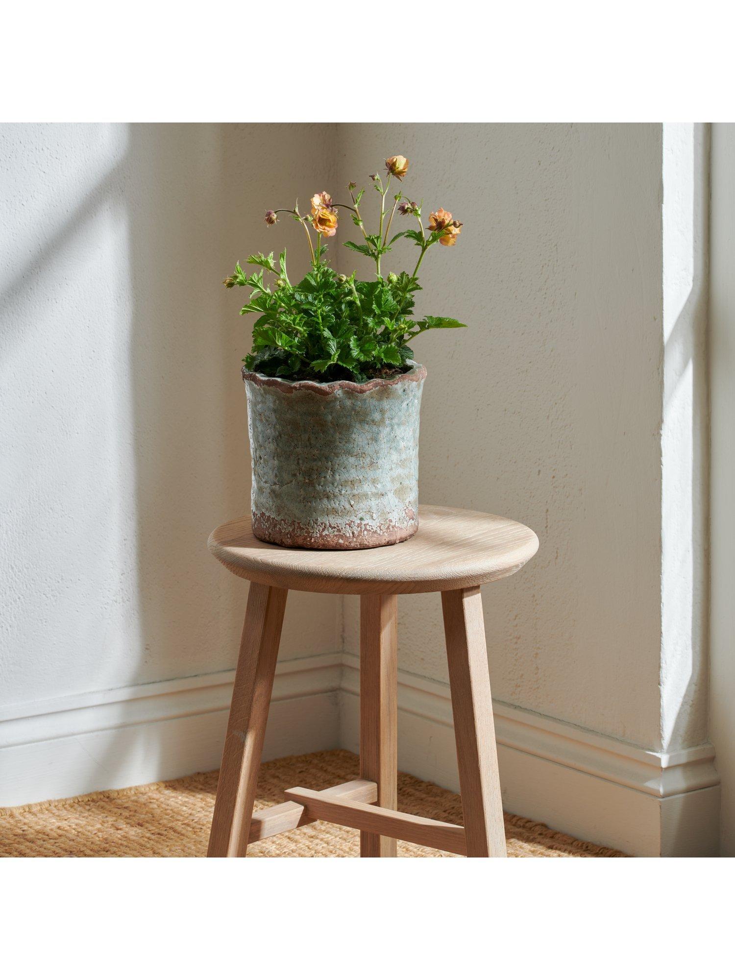 Neptune plant pot moss 18cm (British brand)