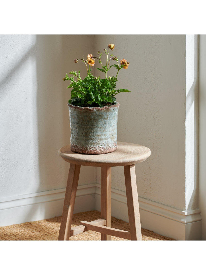 Neptune plant pot moss 18cm (British brand)