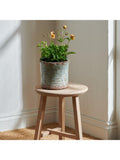 Neptune plant pot moss 18cm (British brand)