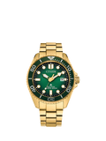 Citizen Promaster Dive watch green dial gold bracelet (British brand)