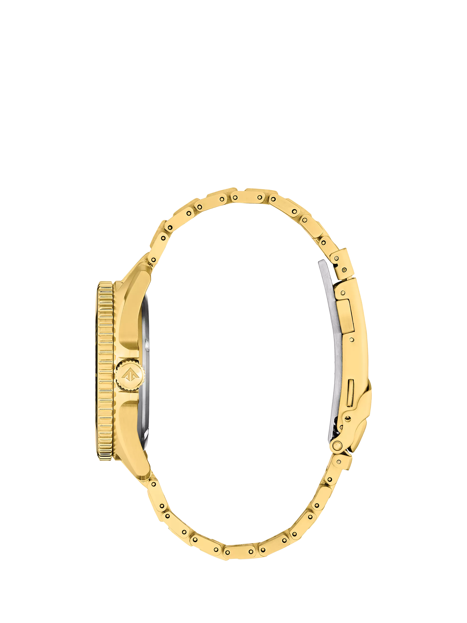 Citizen Promaster Dive watch green dial gold bracelet (British brand)