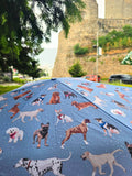 Fulton dog umbrella Blue/Multi manual - British product