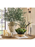Pottery Barn French Pot Terracotta Bowl Sage 47cm, imported from the UK